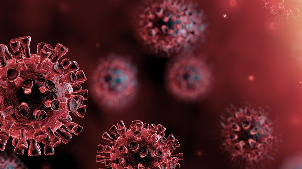 Coronavirus: NHS COVID-19 Deaths Analysed