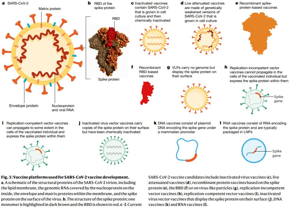 Sars cov 2 вакцина. Vaccine Development. Vaccines based in RNA Matrix.. Recombinant vaccine. Types of vaccines and what they are used for.